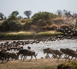 Serengeti Nationalpark