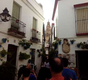 Calleja de las Flores