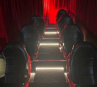 Museum Ripley's Believe It or Not!