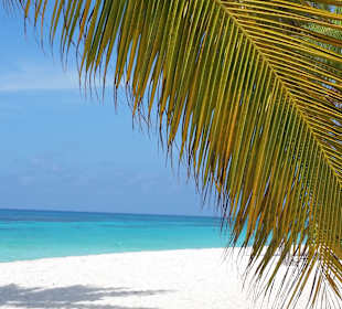 Karibischer Traum 