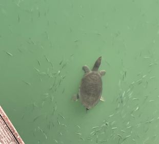 Stadtrundgang Evrenseki