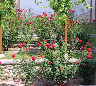 Rosarium