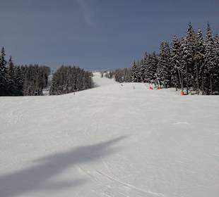Skipiste