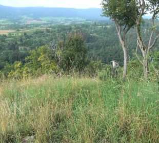 Georgenberg