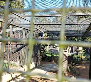 Wildpark Osterzgebirge