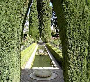 Alhambra - Generalife - Gärten (3)