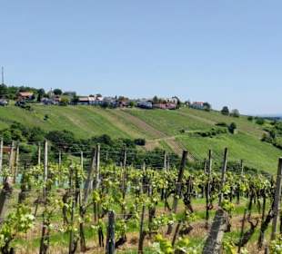 Richtung Weinberg Eisenberg