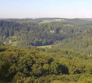 Kleine Luxemburger Schweiz bei Echternach