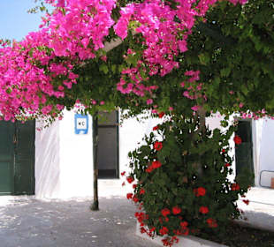 "Schönste Toilette der Welt"