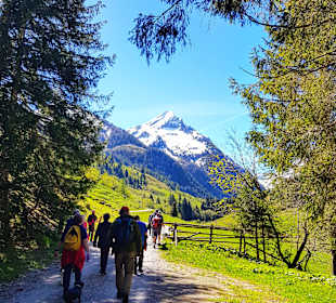 Wandern Ried im Zillertal