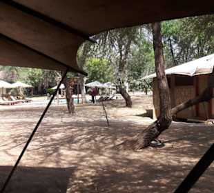 Im Ashnil Samburu Camp