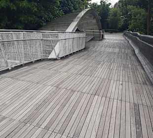 Henderson Waves Bridge 