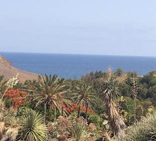 Aussicht vom Oasis Park