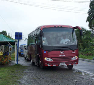 Red Frog Tours Bus