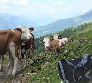 Wandern Zell am See