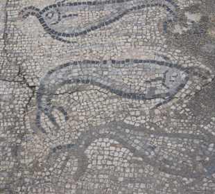 Volubilis Mosaiken
