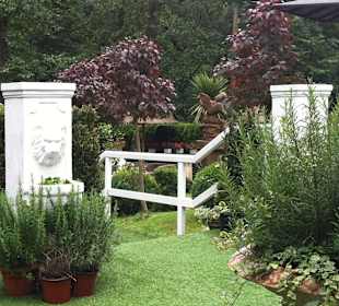 Sicht von meinem Tisch