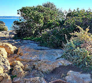 Seven Hanging Valleys Trail 