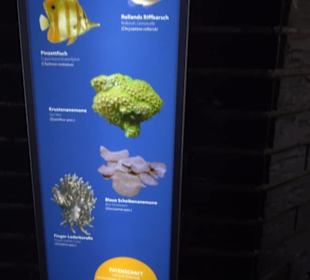 Aquarium