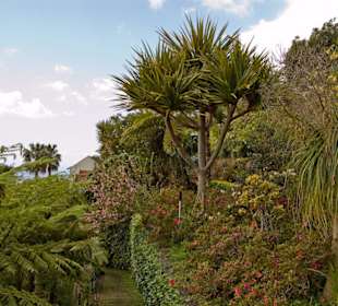Gartenansicht