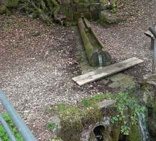 Lichtenstein, Reißenbachquelle