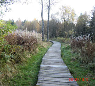 Bohlenweg durchs Moor