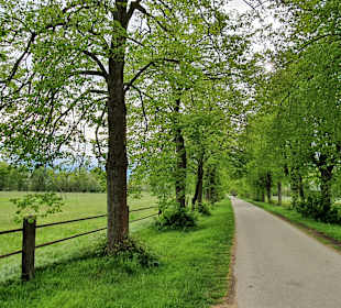 Wandern Löbnitz (Sachsen)