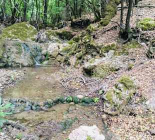 Kleiner Fluss durchs Tal der Schmetterlinge