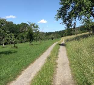 Eduard Lucas Musterobstgarten Mähringen