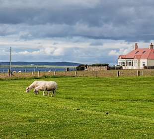 Idyllische Landschaft bei den Stones of Stennis