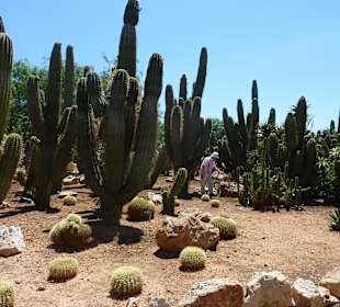 Kein Zaun verwehrt die genaue Betrachtung