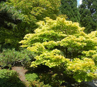 Parkanlage Planten un Blomen