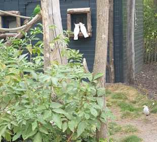 Bilder aus dem ZOO