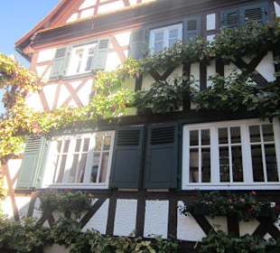 Weinfest in der Winzergasse Gleiszellen