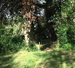 Friedhof Unterjesingen