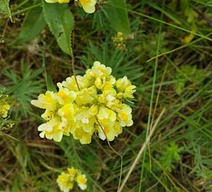 Wandern Schmallenberg