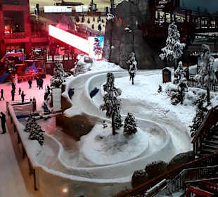 Ski-Dubai 
