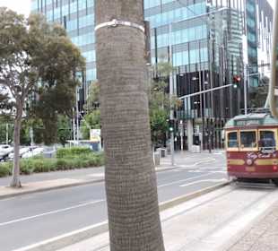 Mit  der City CircleTram in Melbourne unterwegs