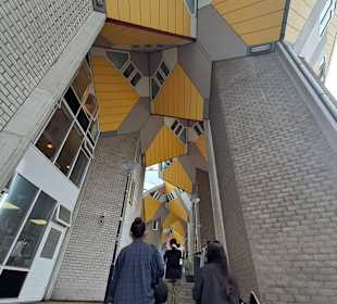 Kubushäuser in Rotterdam