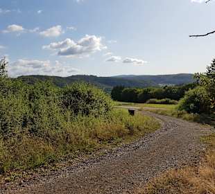 Wandern Vöhl
