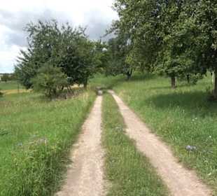 Wanderweg Ammerbucher Gigeleswegle