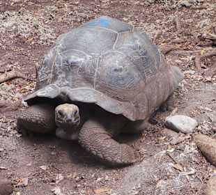 Ausflug prison island