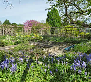 Spaziergang durch den Berggarten Hannover
