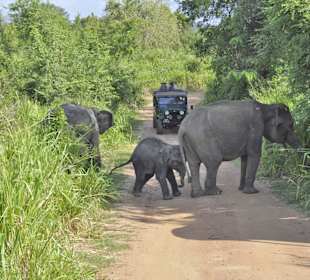 Sri Lanka
