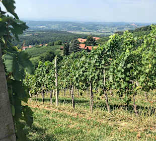 Wandern Bad Gleichenberg