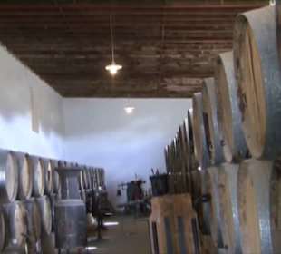Bodega El Grifo