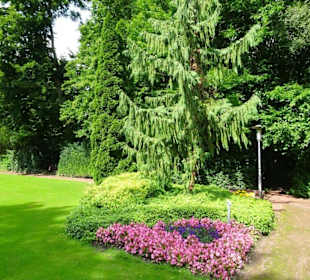 Hochsommer im Kurpark Bruchhausen-Vilsen