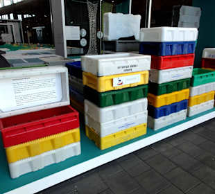 Fischkisten des Seefischmarktes