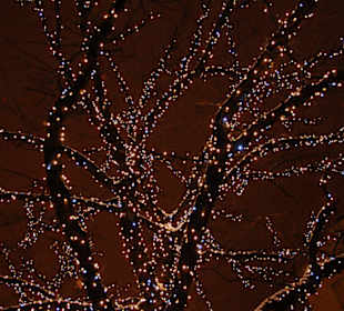 Jarmark Bożonarodzeniowy w Warszawie