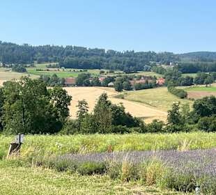 Sport & Freizeit